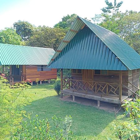 Quirquincho House Lodge Puerto Maldonado Buitenkant foto