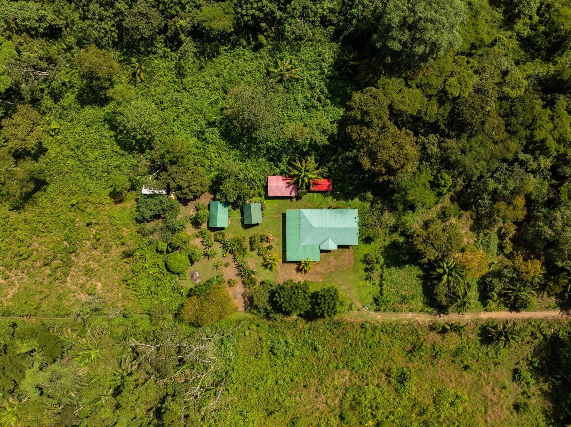 Quirquincho House Lodge Puerto Maldonado Buitenkant foto